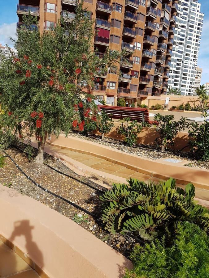 Appartement Fabuloso Apartamento En Benidorm